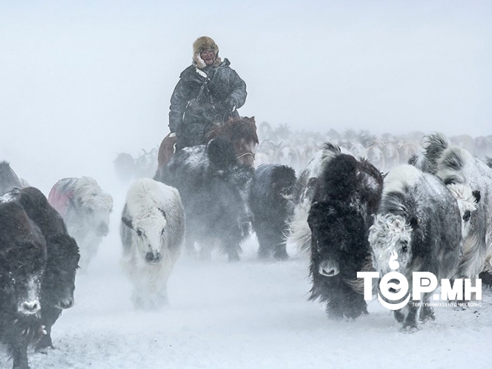 Ихэнх нутгаар хүйтний эрч эрс чангарах тул болзошгүй эрсдэлээс сэргийлэхийг анхааруулж байна