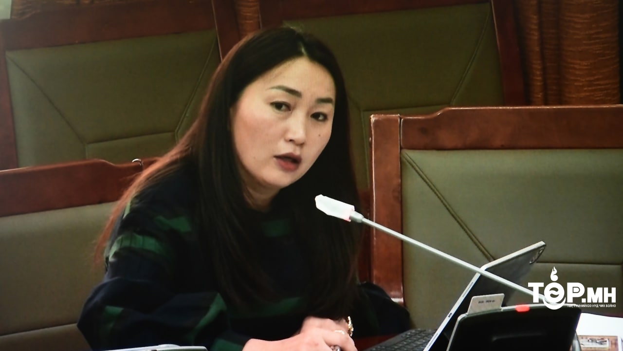 Х.Булгантуяа:Монголбанк мөнгө хэвлээд, үүний үр дүнд Монгол төгрөгийн ханш суларсан