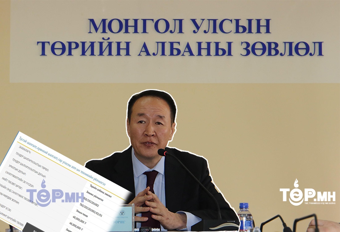 Төрийн албаны зөвлөл 48.000.000 төгрөгөөр ЗӨВЛӨХ үйлчилгээ авна
