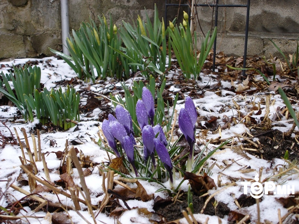 2022 оны 04 дүгээр сарын 20-ноос 04 дүгээр сарын 24-нийг хүртэлх цаг агаарын урьдчилсан мэдээ