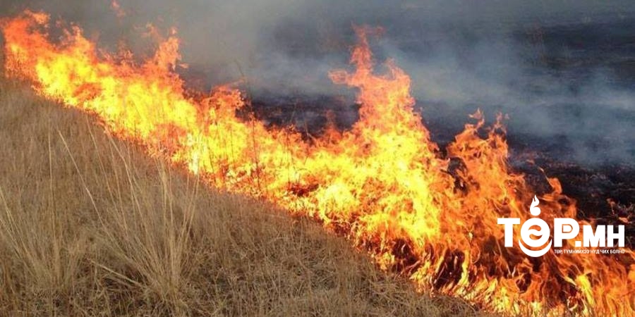 Ой хээрийн түймрээс урьдчилан сэргийлье!