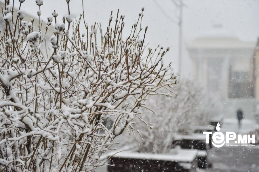 Улаанбаатарт ялимгүй хур тунадас орно. 5 градус дулаан