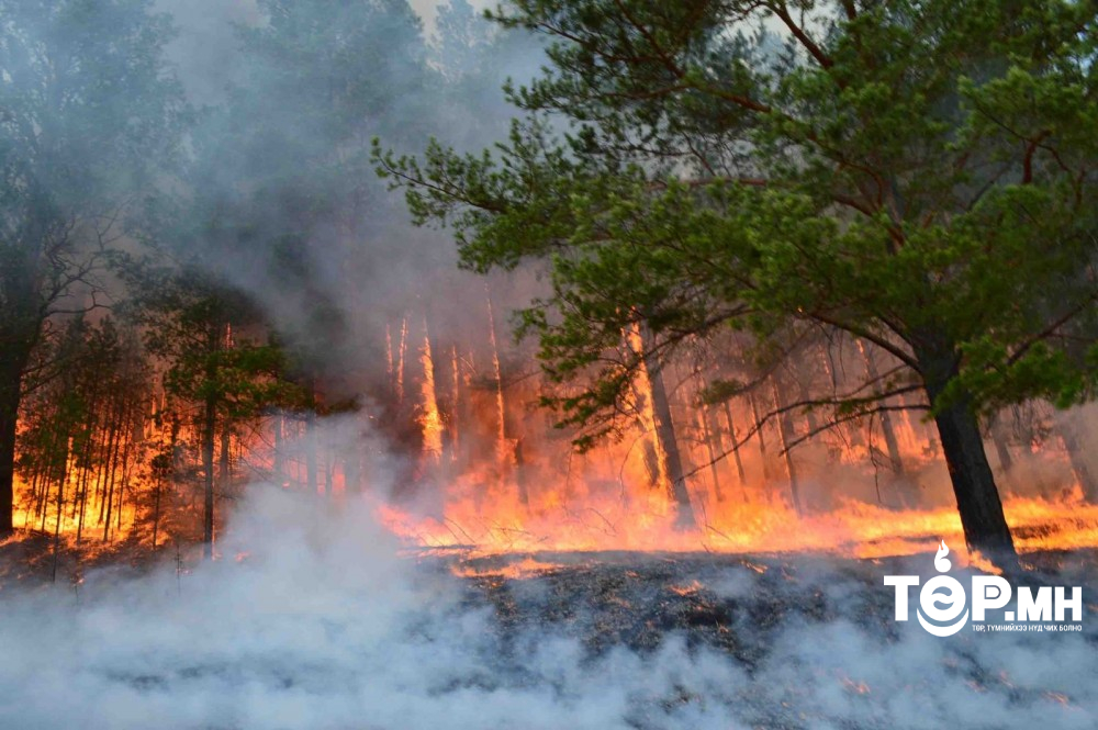 Найман аймгийн 17 суманд 23 удаагийн ой, хээрийн түймэр гарчээ
