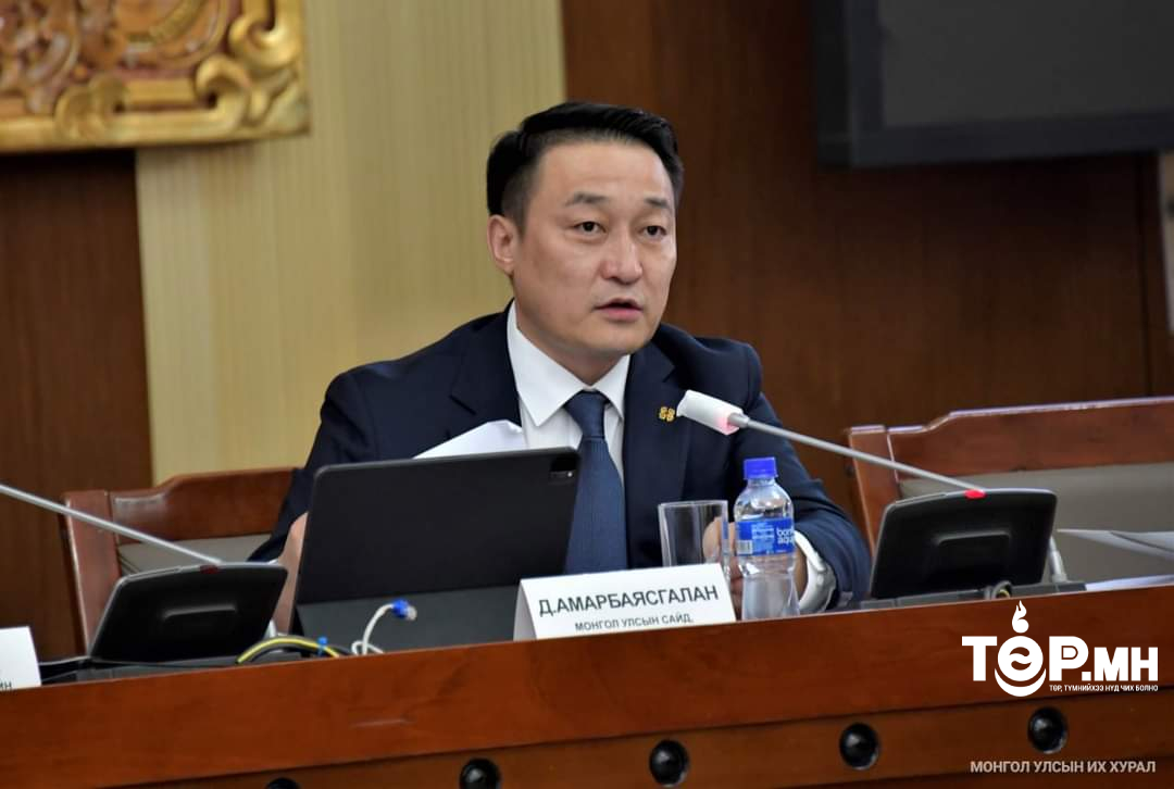 Д.Амарбаясгалан: Улс төрийн намуудыг хариуцлагажуулах ёстой