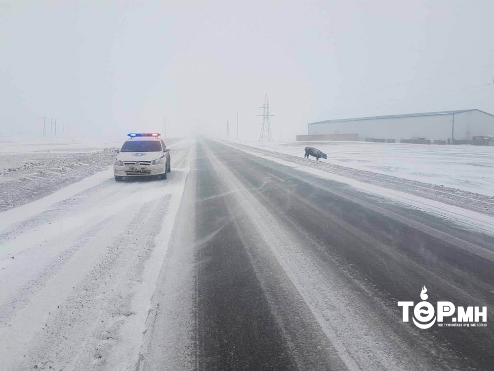 Өнөө маргаашдаа ихэнх нутгаар цасан болон шороон шуургатай