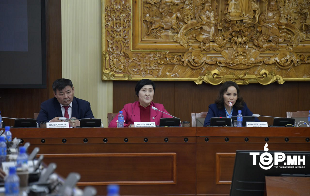 Монгол Улсын парламент дахь эмэгтэй төлөөлөл 17 хувьтай байна