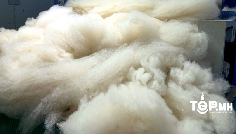 Ноолуур 290 мянган төгрөгийн үнэтэй байна