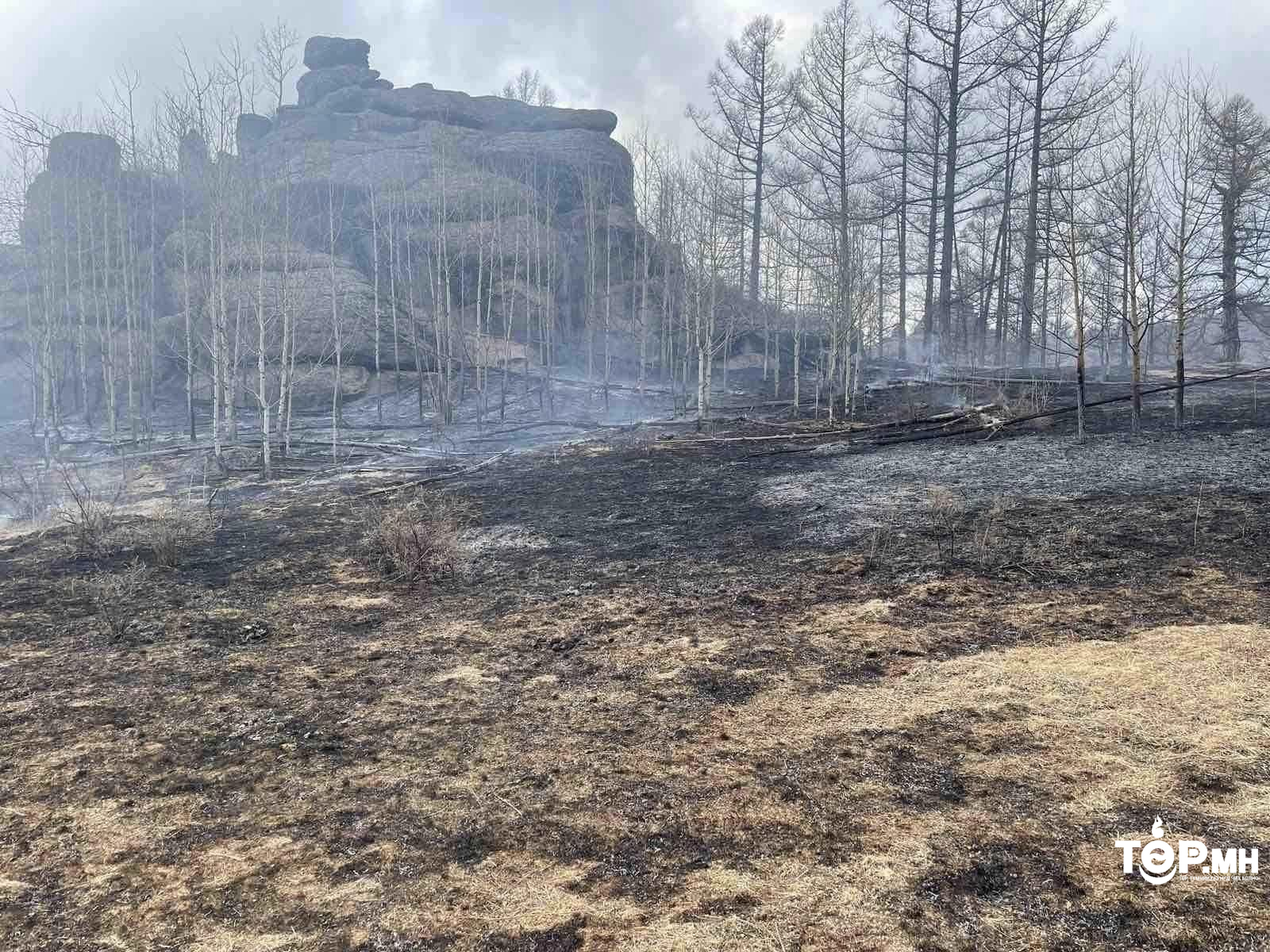 Гүнжийн сүмийн ойролцоо гал гарч, 14 га талбай шатсан байна