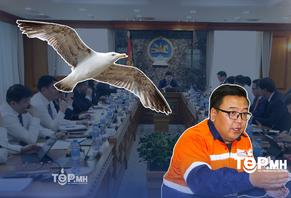 ХУРДАН зугтаад байгаа Н.Удаанжаргалыг Засгийн газрын "ШУВУУ" барих уу