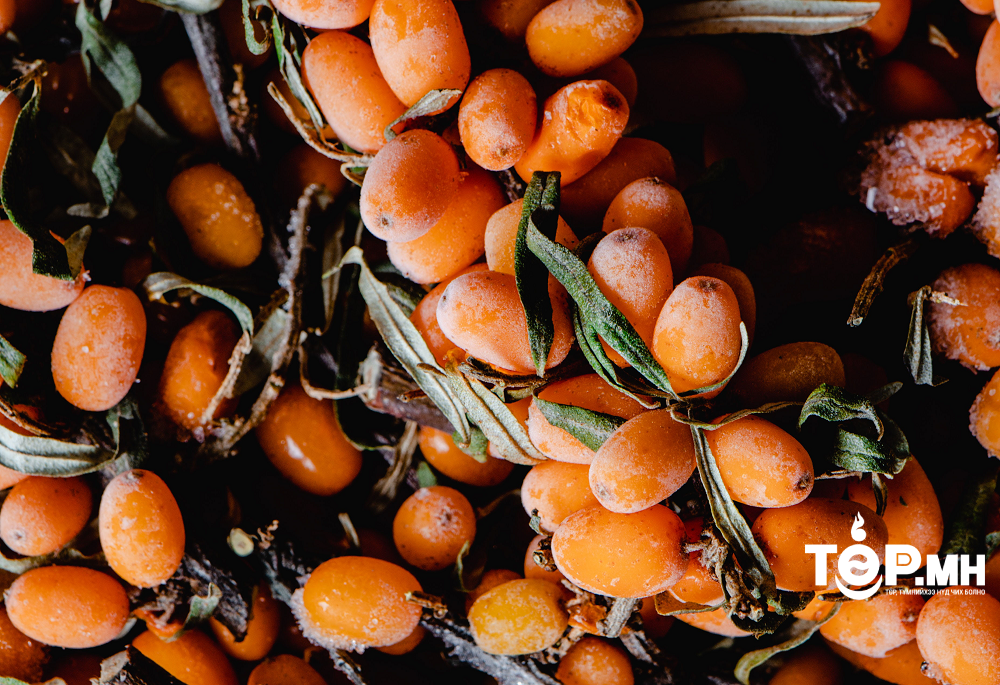 Жимс, жимсгэнийн салбарын өнөөгийн байдал, цаашид хэрэгжүүлэх арга хэмжээг хэлэлцлээ