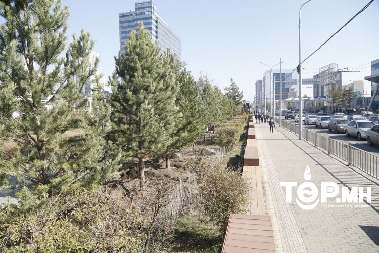 Нийслэлд 5 градус дулаан байна