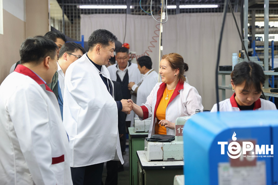 Малын гаралтай түүхий эдийг эдийн засгийн эргэлтэд оруулах “Цагаан алт” хөтөлбөр хэрэгжүүлнэ