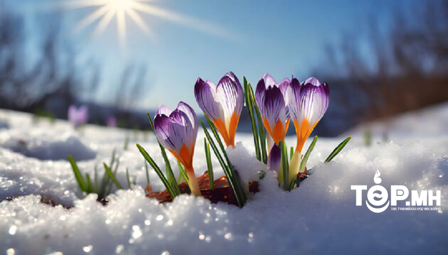 "Ханш Нээх Өдөр" 2024 оны 04 дүгээр сарын 04-ны өдөр буюу Пүрэв гаригт тохиож байна