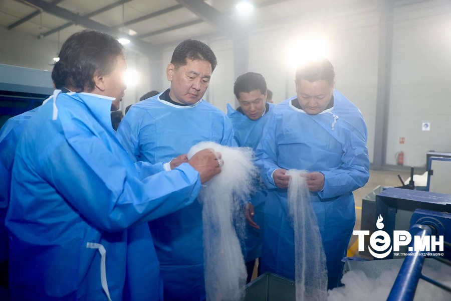 Ноолуурын экспортын орлогыг ойрын жилүүдэд хоёр дахин нэмэгдүүлэх боломжтой