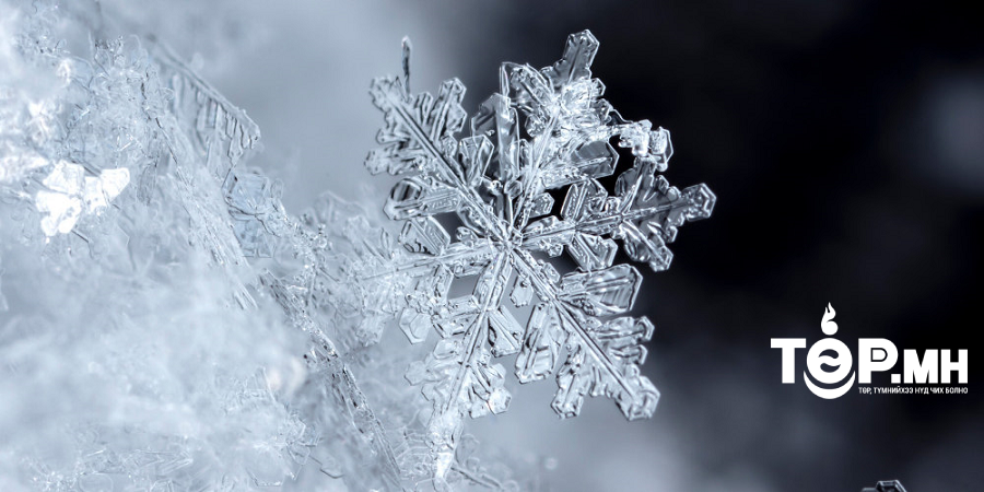 Баянхонгорын Гурванбулаг суманд 20 см цасан бүрхүүл тогтжээ