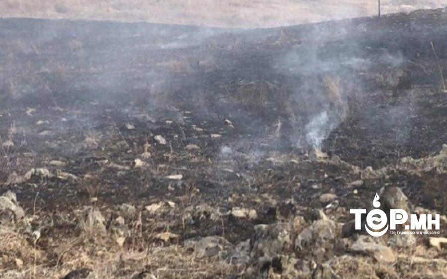 Ой, хээрийн түймрийн 29 удаагийн дуудлага бүртгэгдэж, 70172 га талбай түймэрт өртсөн байна