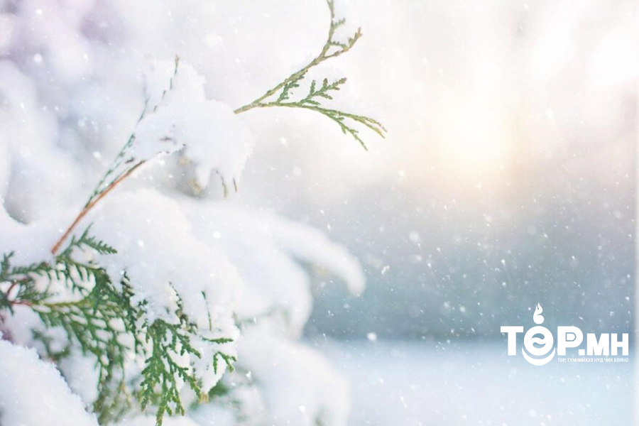 Өнөөдөр нутгийн зүүн хэсгээр нойтон цас, цас орж, явган шуурга шуурна