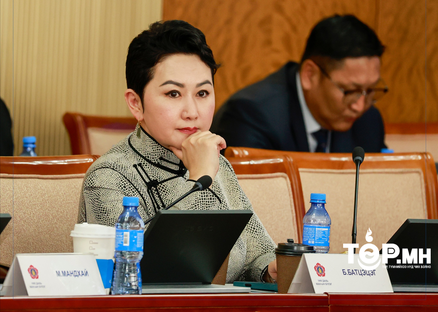Б.Батцэцэг: Элчин сайд, консулаар мэдлэг чадваргүй, хэл усгүй, шаардлага хангахгүй хүн очиход л тухайн ажил саатдаг