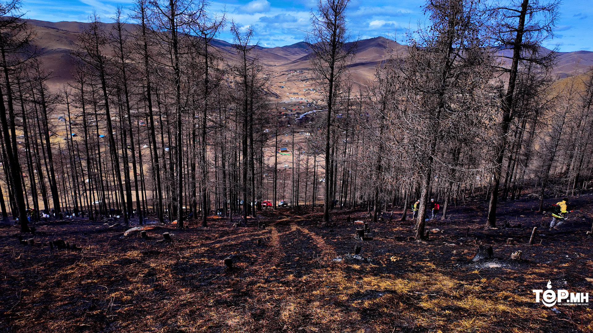 Нийт дуудлагын 14 нь ой, хээрийн түймрийн тохиолдол байна