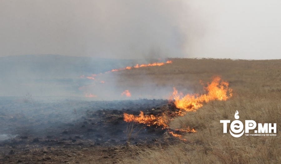Ой, хээрийн түймрийн 54.2 хувь нь 4-6 саруудад тохиолдсон байна