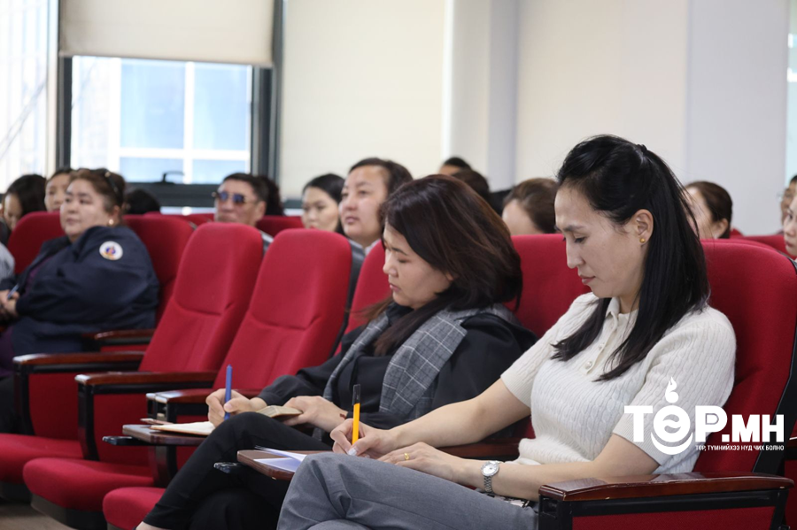 Гэр, байшингийн дулаалгын дэлгэрэнгүй судалгааг гаргах албан хаагчдад мэргэжил, арга зүйн зөвлөгөө өгч байна