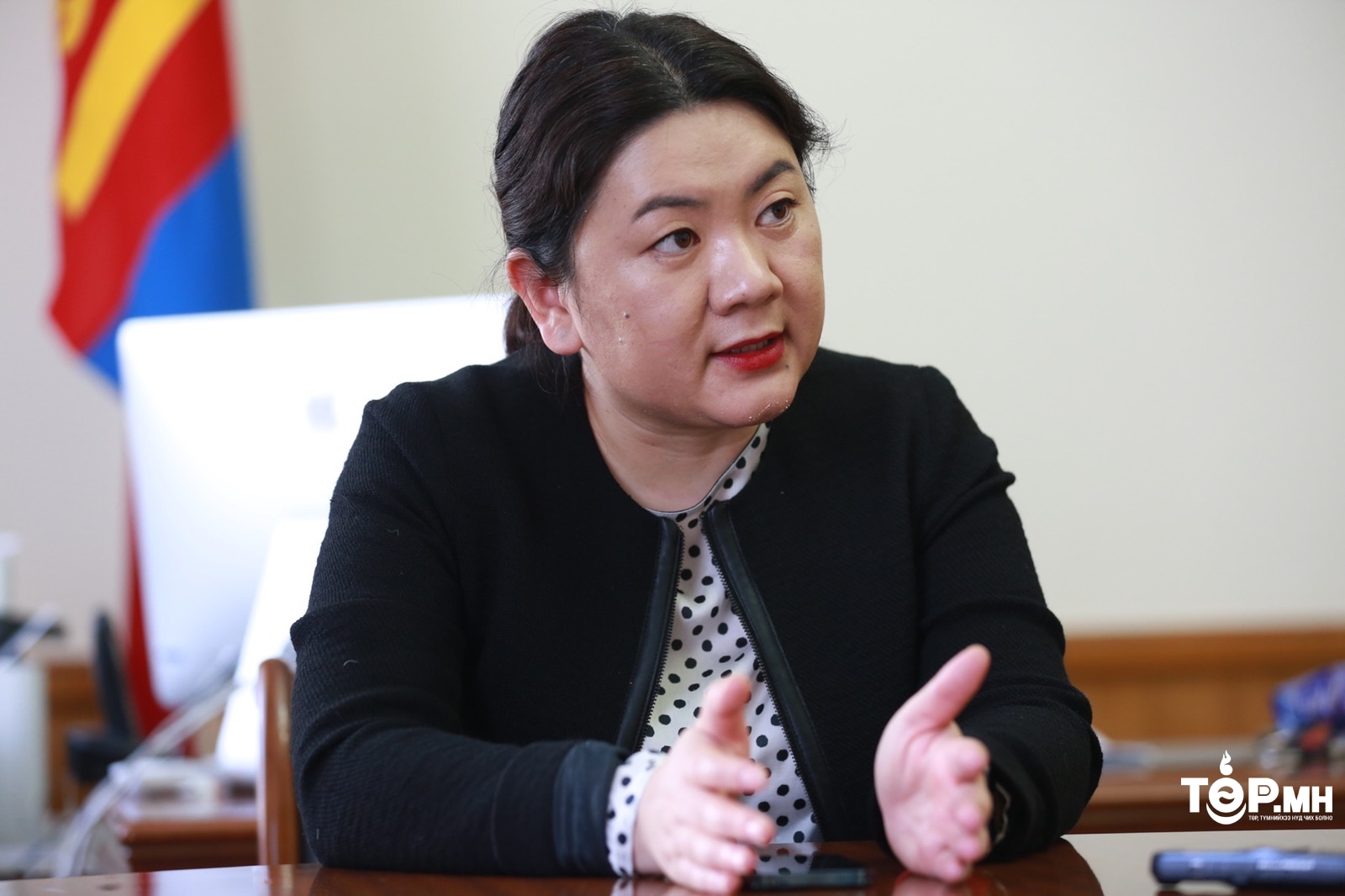 Б.СОЛОНГО: Монгол Улсын Засгийн газрын байр суурийг “РИО ТИНТО” хүндэтгэж үзэх хэрэгтэй