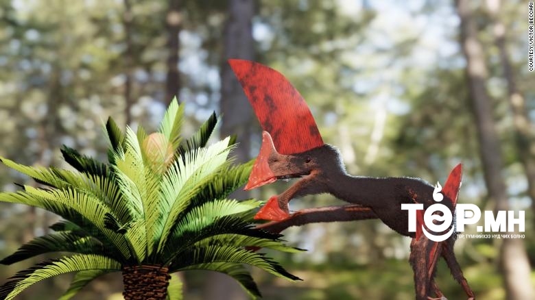 Цагдаагийн дайралтаар хураагдсан чулуужсан яс бол одоог хүртэл олдсон птерозаврын хамгийн бүрэн араг ясны нэг юм