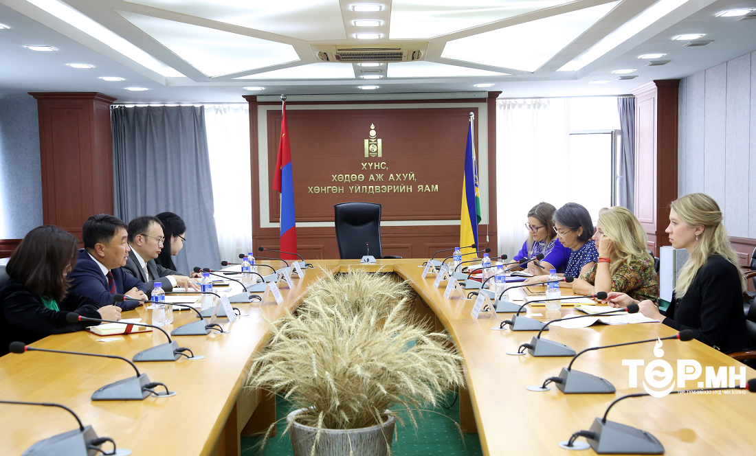 Дэд сайд Г.Батсуурь европын холбооноос монгол улсад суух онц бөгөөд бүрэн эрхт элчин сайдыг хүлээн авч уулзлаа