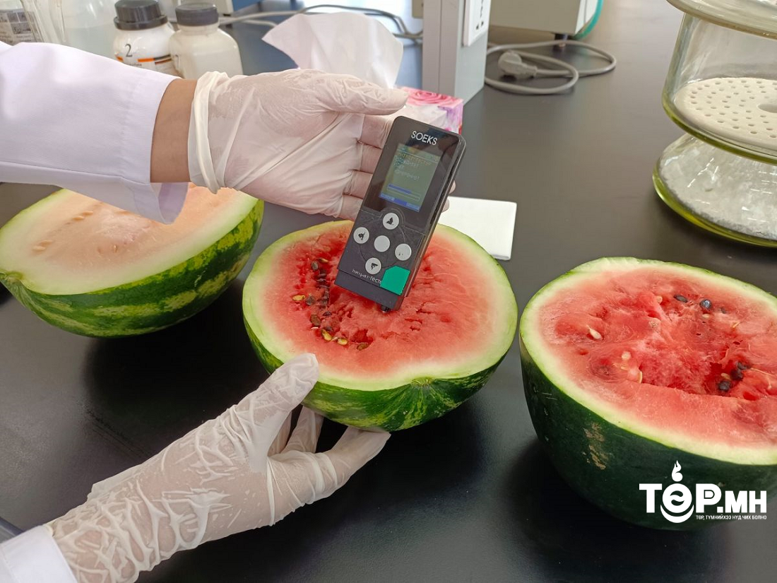 Тарвас, хүнсний ногоонд шинжилгээт хяналт хийж байна