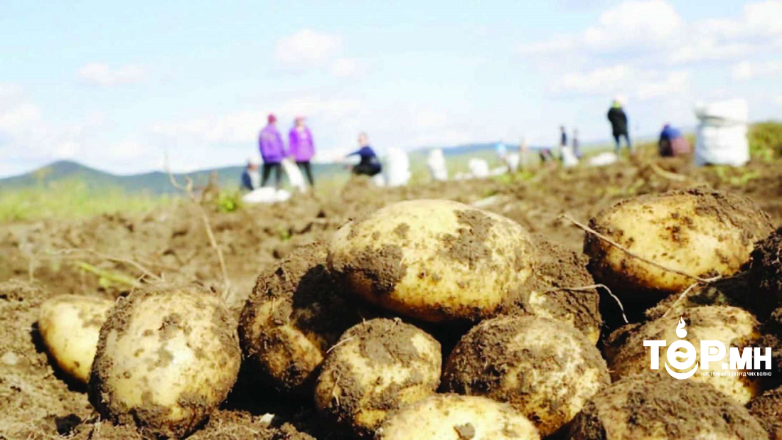 ХХААХҮЯ: Улсын ургацын комисс хуралдлаа