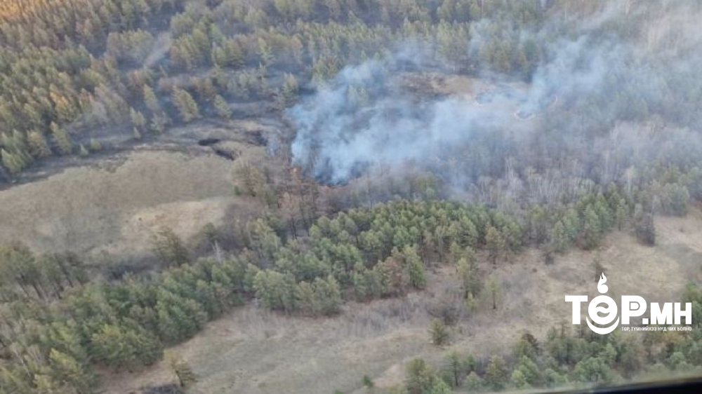 Он гарсаар 97 удаагийн ой, хээрийн түймрийн дуудлага бүртгэгджээ