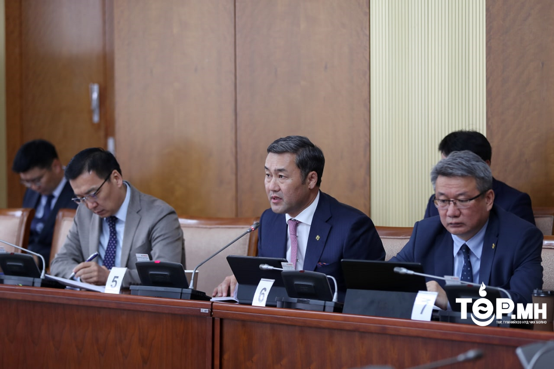 Н.Тавинбэх: Эрчим хүчний салбар 2022 онд 168.2 тэрбум төгрөгийн алдагдалтай ажиллахаар байна