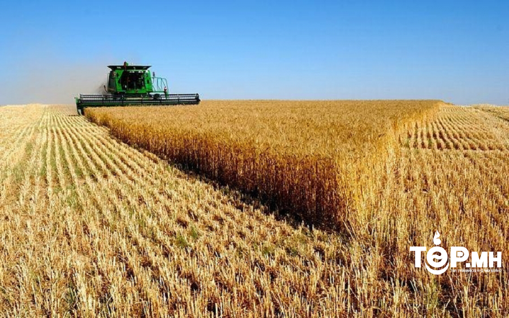 Газар тариалангийн бүс нутгаар 25-26-нд шилжих шөнө хөрсөн дээр цочир хүйтрэнэ