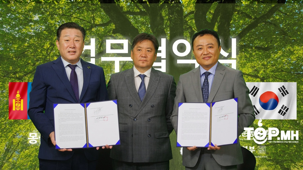 Тэрбум мод сан, БНСУ-тай ойжуулалт, цөлжилттэй тэмцэх чиглэлд хамтарч ажиллана