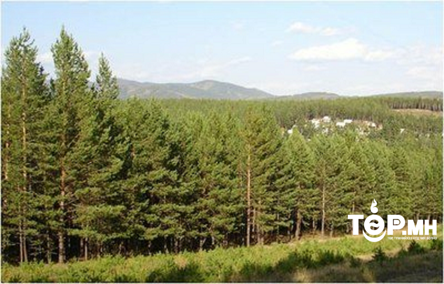 Эрлийн ажиллагааг зогсоолоо