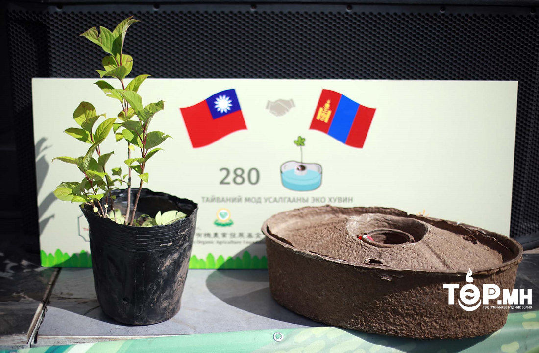 Хөрсөнд задарч шингэдэг эко хувин ашиглан мод тарив