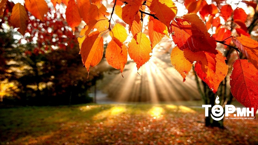 Зурхай: Өнөөдөр намрын тэргүүн сарын шинийн НЭГЭН