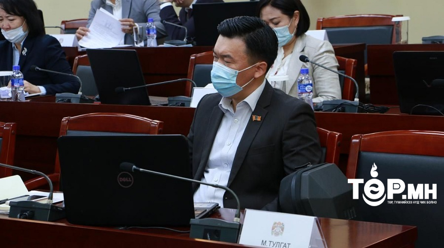 НИТХ дахь АН-ын төлөөлөгч М.Тулгат жилийн 138 саяын орлоготой ч гэр бүл нь "ОРЛОГОГҮЙ" гэж мэдүүлжээ