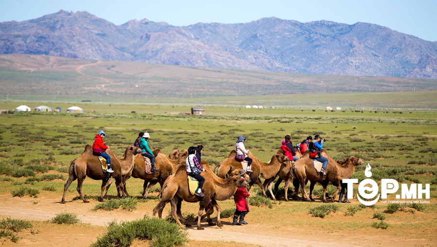 Наймдугаар сарын 02-ны өдрийн байдлаар Монгол улсад 3473 жуулчин иржээ