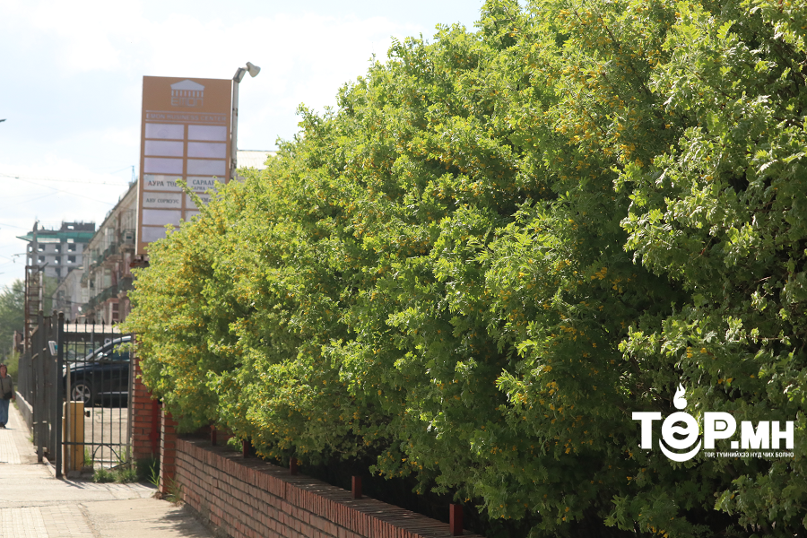 Улаанбаатар хотод өдөртөө +24 градус дулаан