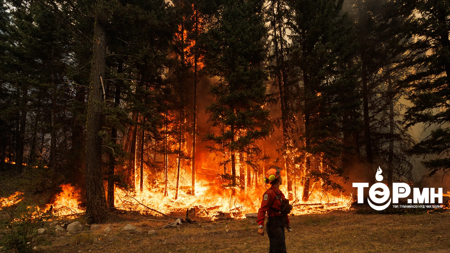 Канад улсын Йеллоунайф хотод ойн түймэр ойртож ирсэн тул оршин суугчдыг нь нүүлгэж эхэлжээ