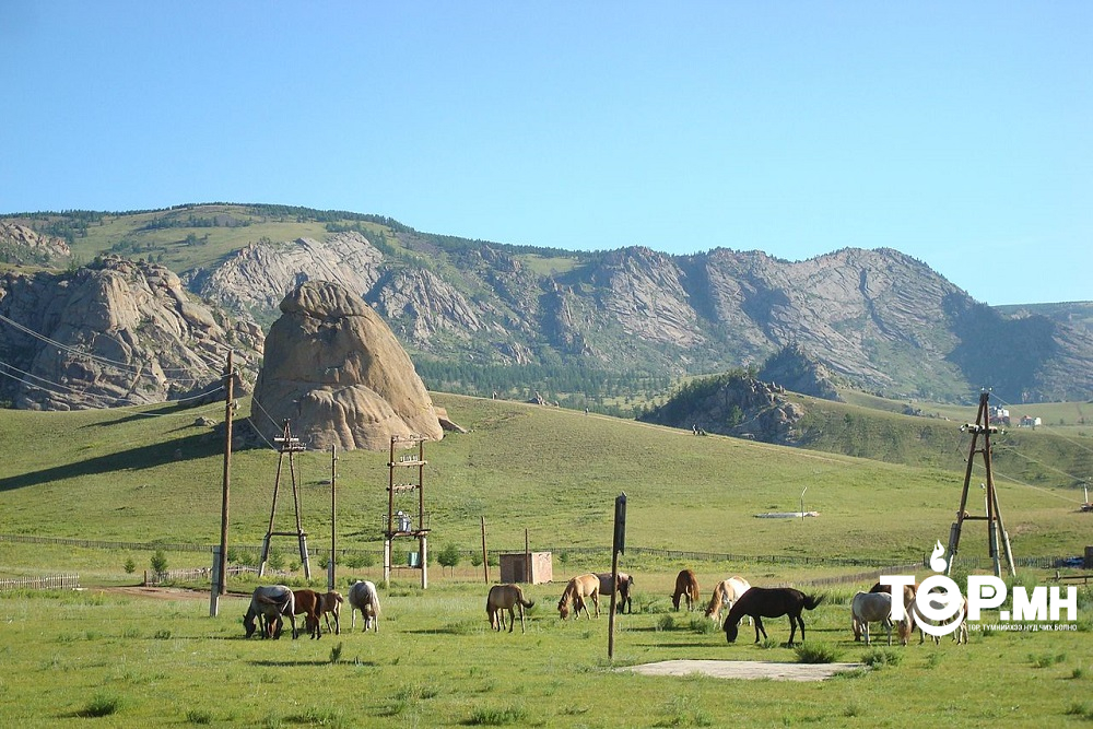 ТАНИЛЦ: Горхи-Тэрэлж орчмын дараах 74 газрын эзэмших эрхийг цуцална