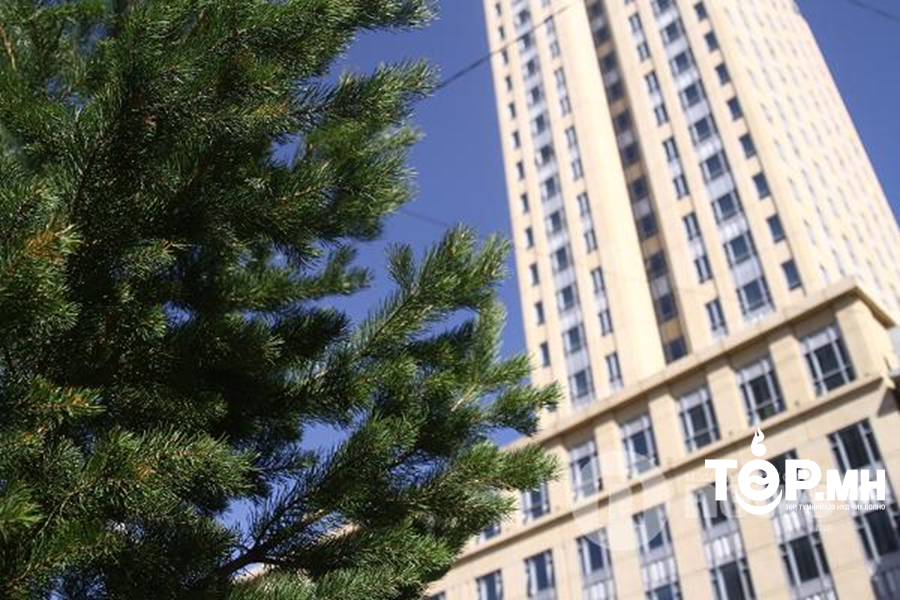 Улаанбаатар хотод  бороо орно