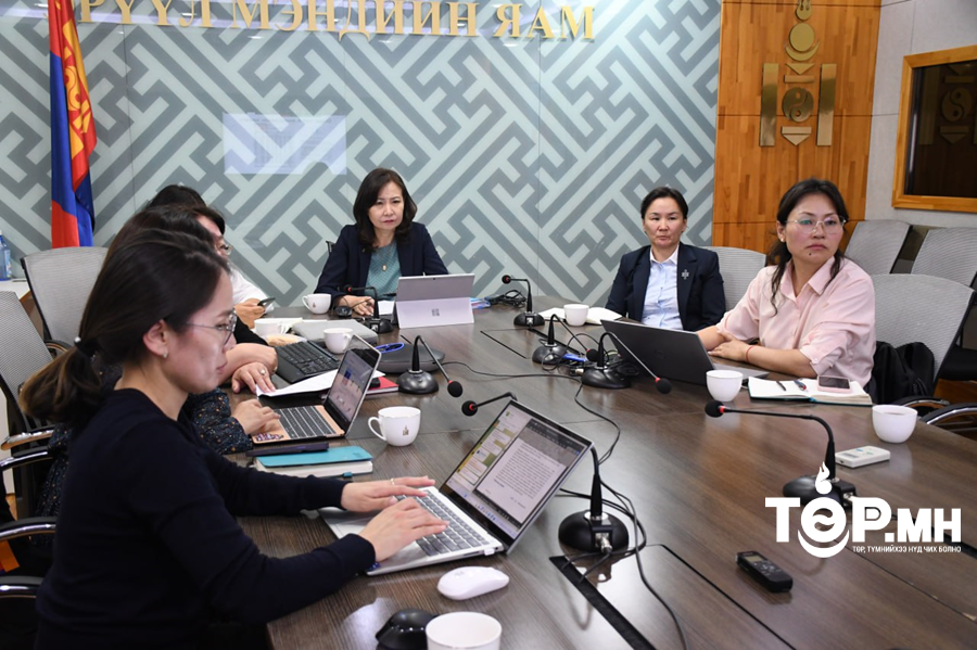 Улаанбурхан өвчнөөс урьдчилан сэргийлэх, мэдээлэл өгөх цахим хурал боллоо