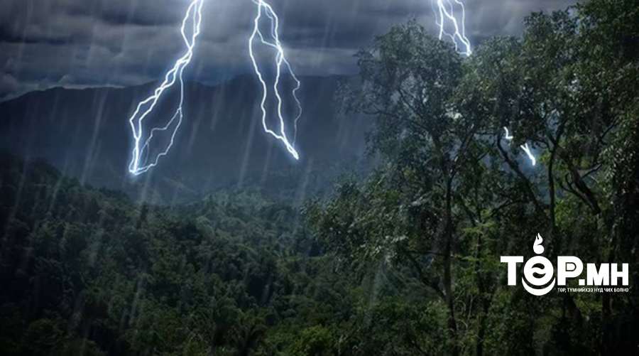 Болзошгүй эрсдэлээс урьдчилан сэргийлж, аюулгүй байдлаа хангаарай