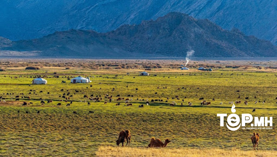 Өвөл-хаврын бэлчээрийн даац нийт нутгийн 70 орчим хувьд хүрэлцээтэй байна