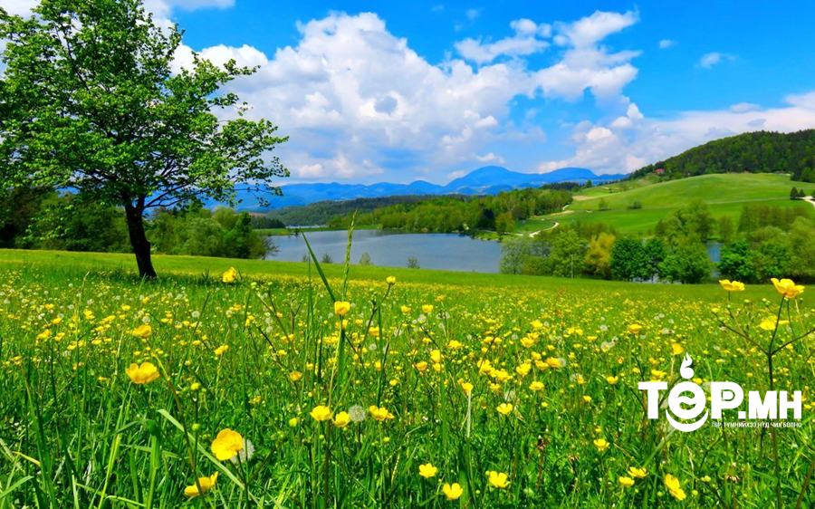 Зуншлагын байдал нийт нутгийн 70 орчим хувьд сайн байна