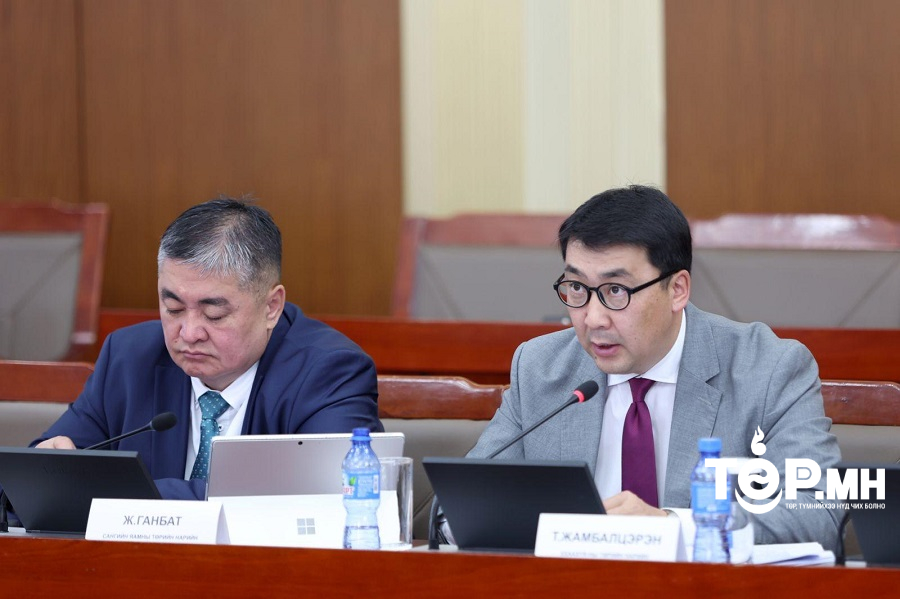 Т.Жамбалцэрэн: Төмсний 72, хүнсний ногооны 62 хувийг дотоодоос хангана