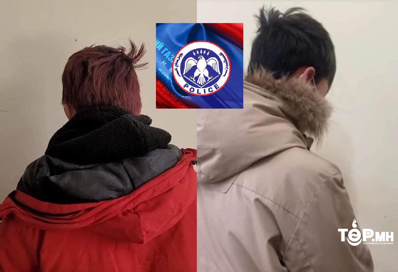 15 автомашин эвдсэн этгээдүүд цахим тоглоомонд донтсон байжээ