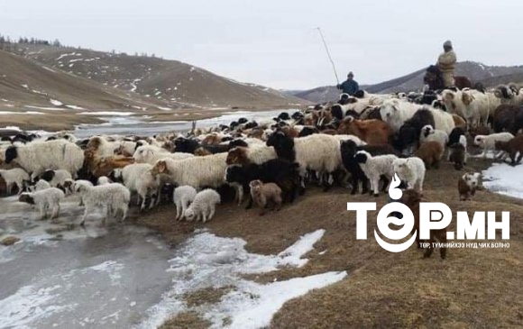 Малч­ид, иргэд, тээвэрчдэд зориулсан мэдээ: